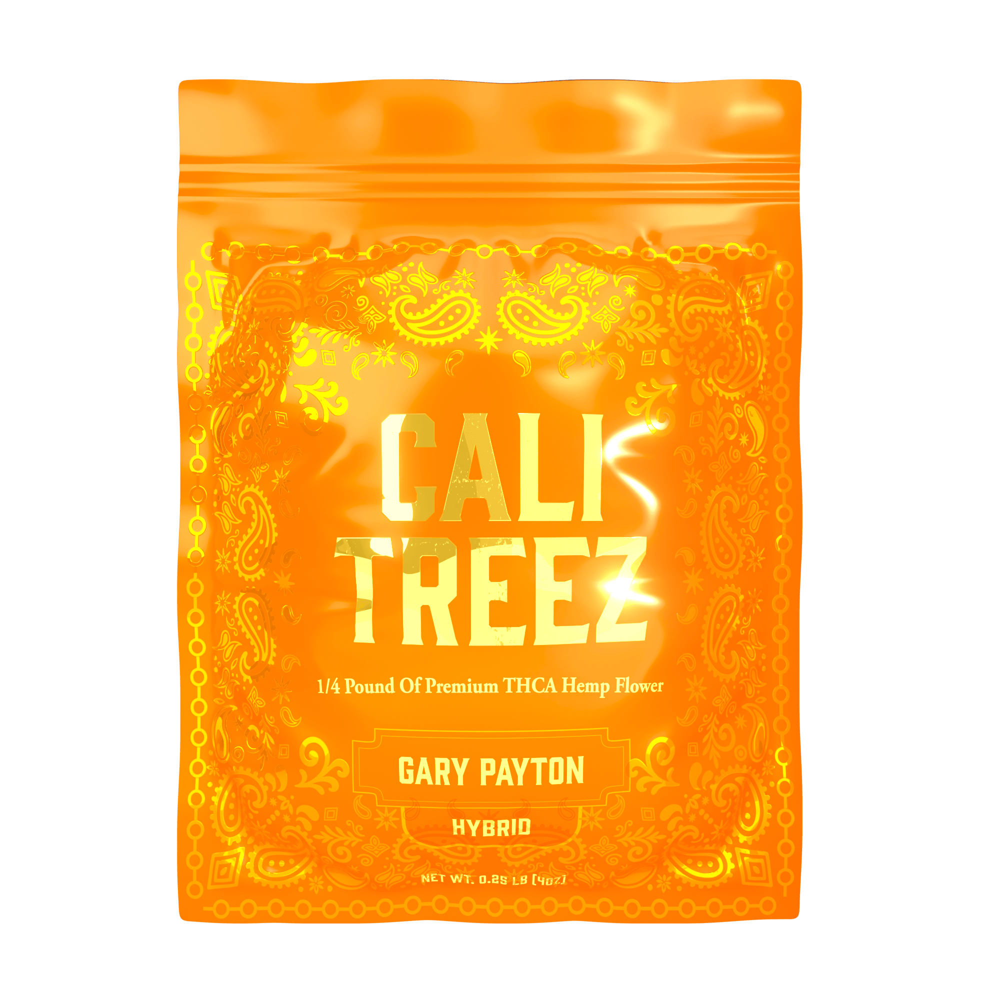 GaryPaytonQP