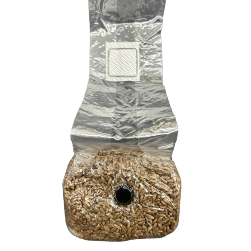Mike's Mycology Sterilized Rye Grain Mushroom Grow Bag