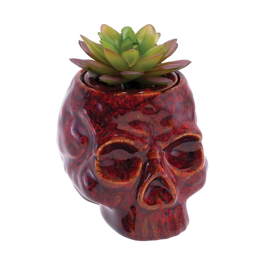 Skull planter stash jar ceramic with lid