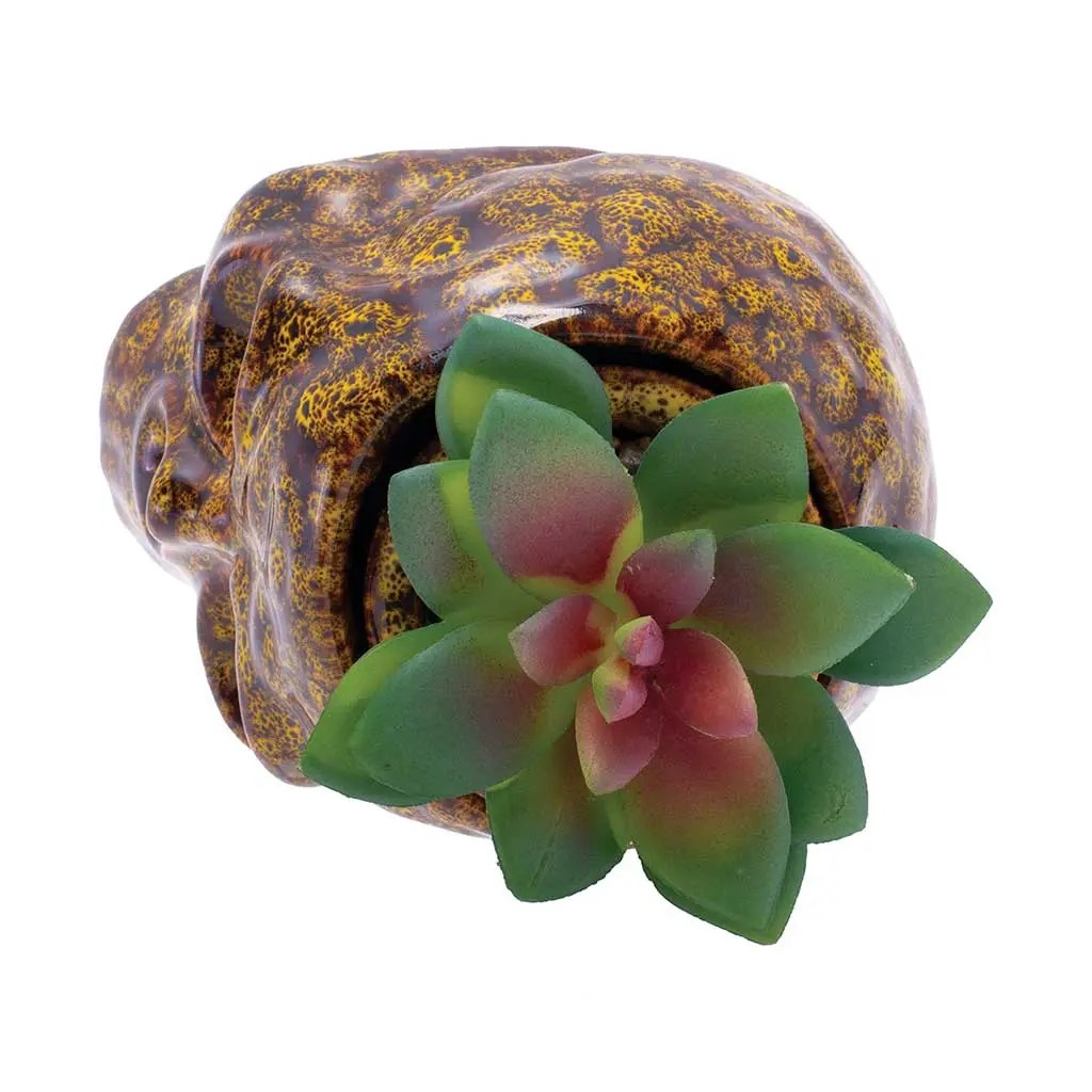 Skull planter stash jar ceramic with lid