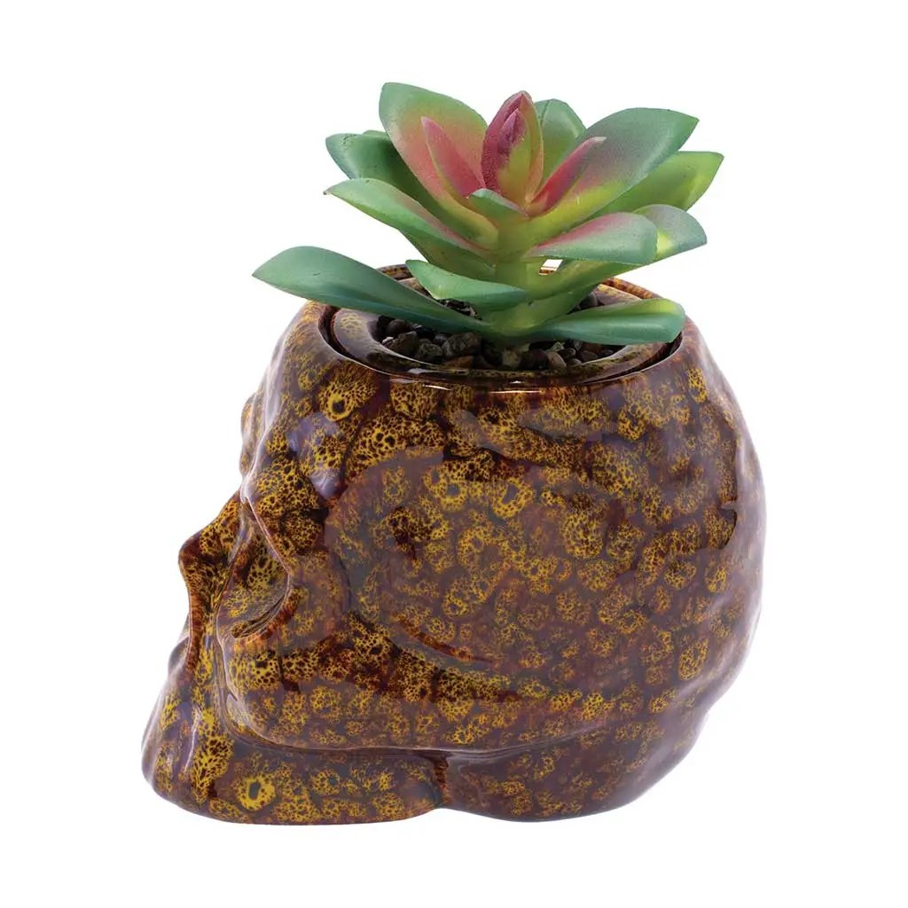 Skull planter stash jar ceramic with lid
