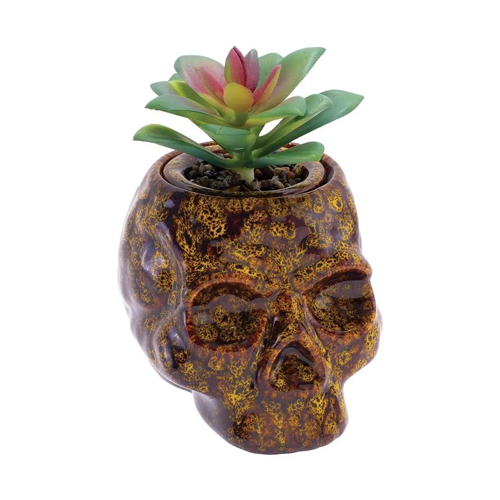 Skull planter stash jar ceramic with lid