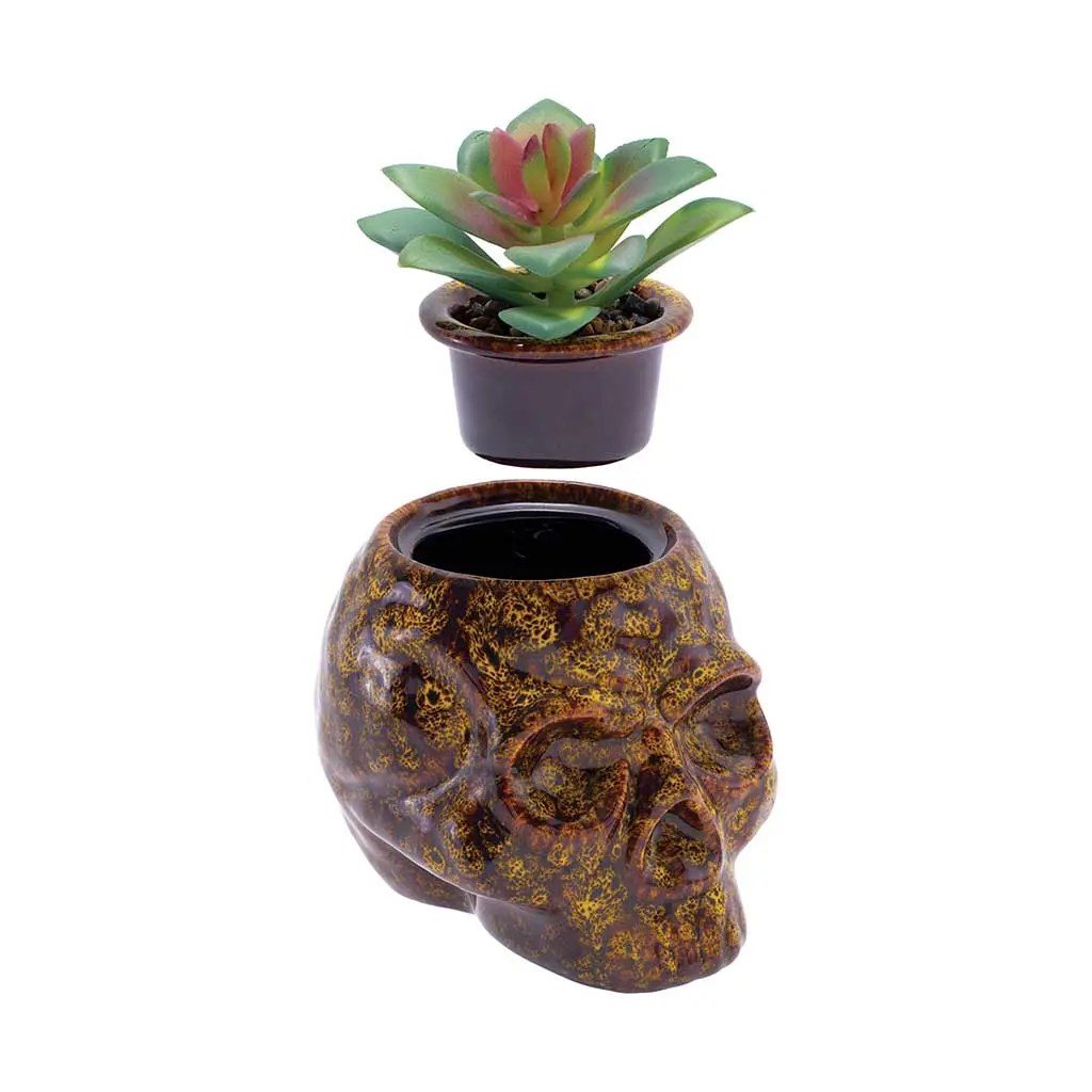 Skull planter stash jar ceramic with lid