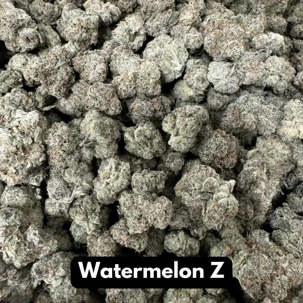 Purge Premium Exotic THCA Flower Watermelon Z 24.4% - Hybrid