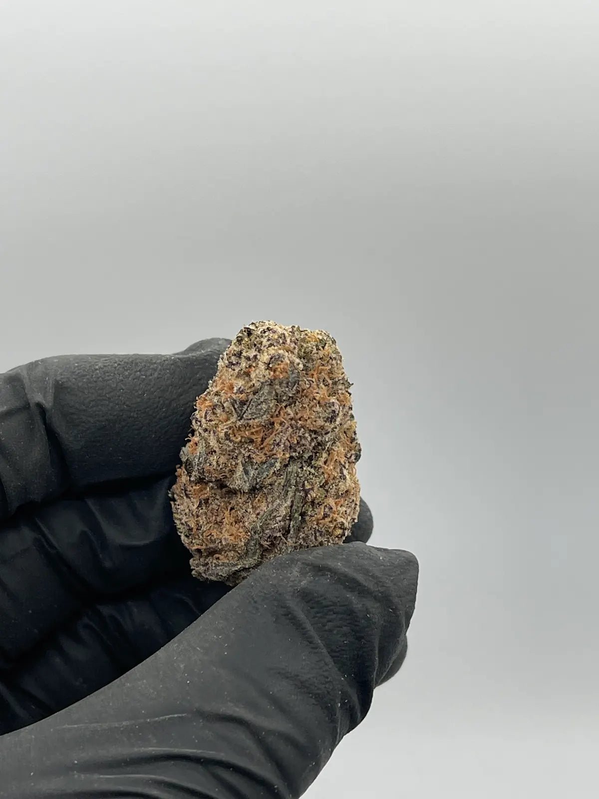 Blueberry Pancake THCA Flower dense frosted indica nugs close up