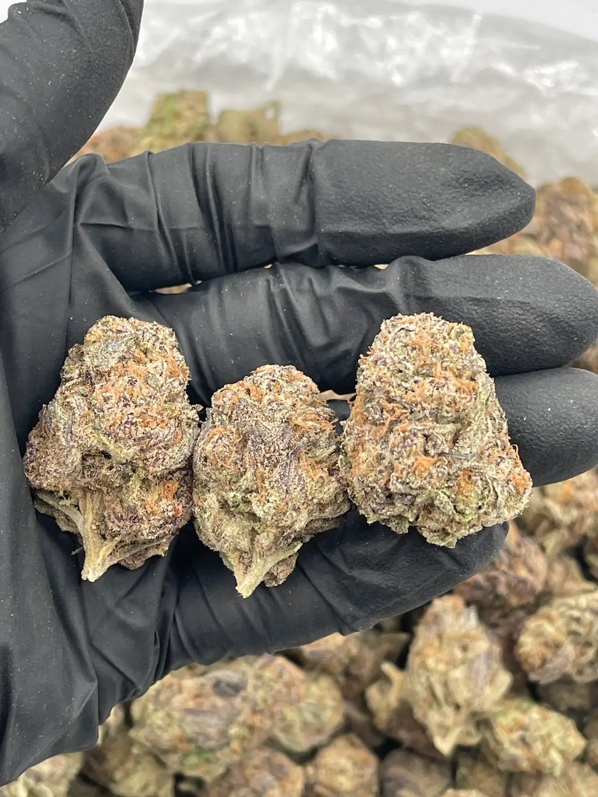 Blueberry Pancake Indoor Exotic THCA Flower - 32.35% - Indica