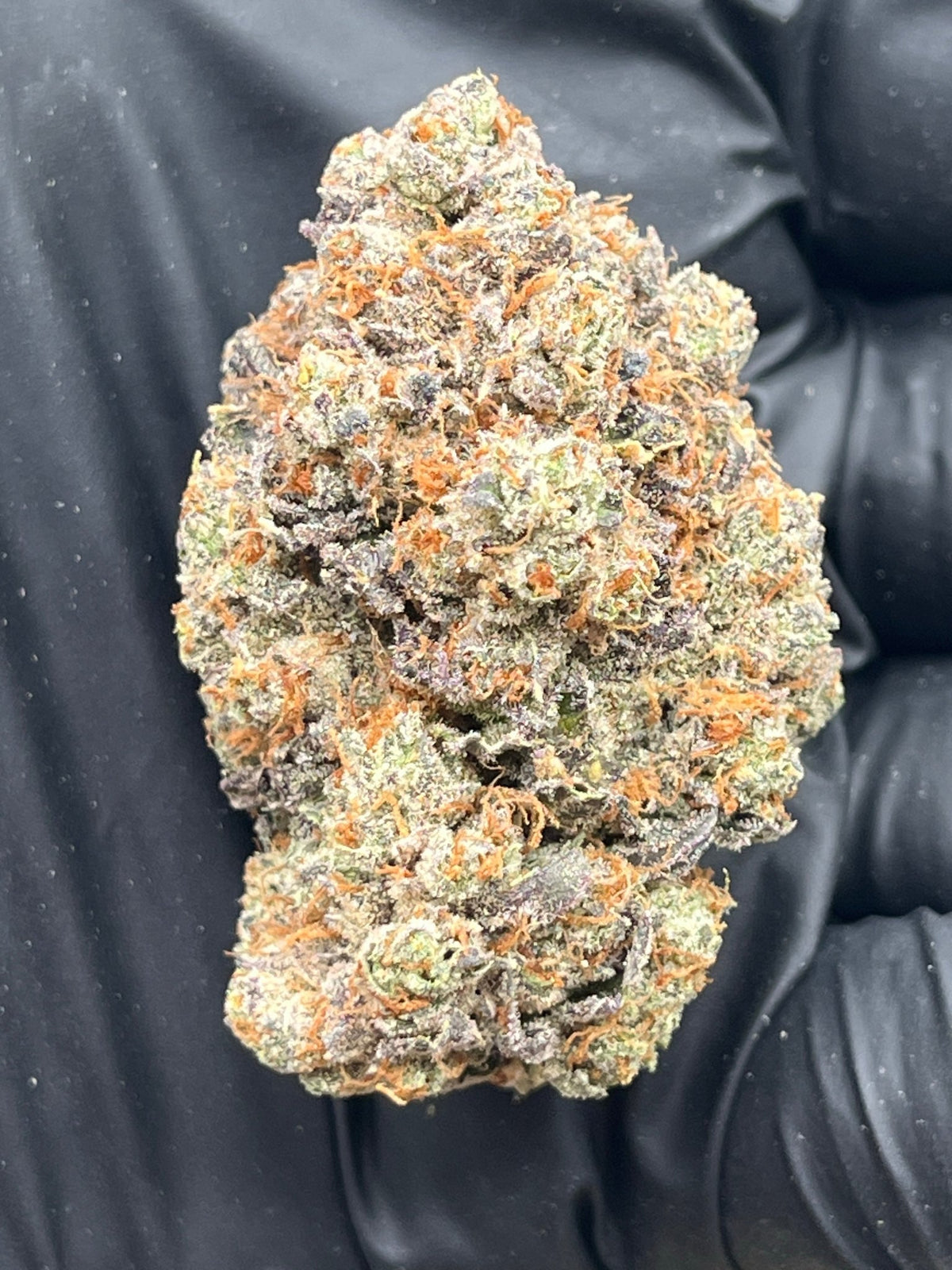 Pineapple Express THCA Flower frosted tropical nugs close up