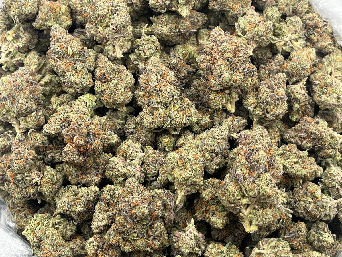 Pineapple Express THCA Flower bulk indoor plus exotic grade
