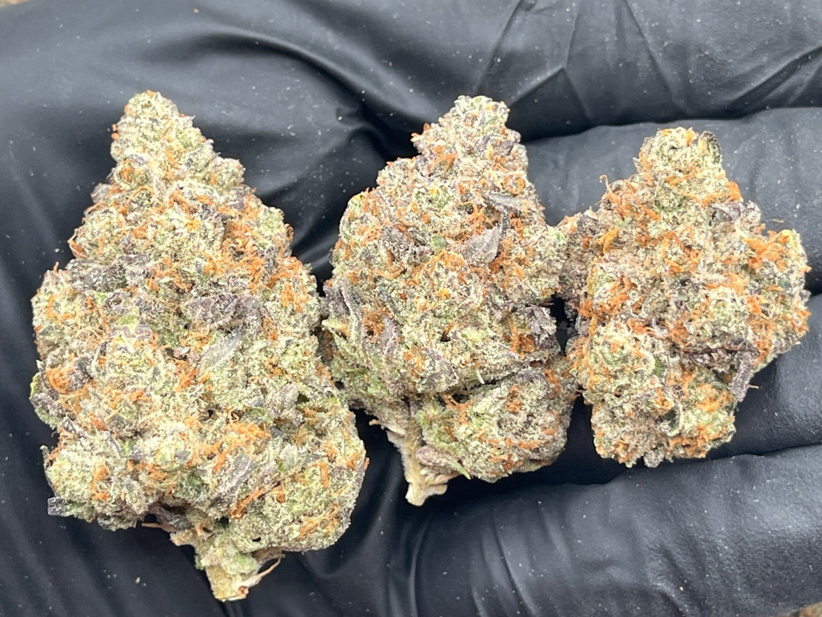 Pineapple Express THCA Flower indoor plus exotic buds 30.92%