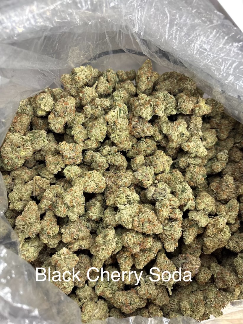 Purge Premium Exotic THCA Flower Black Cherry Soda 26.09% - Sativa