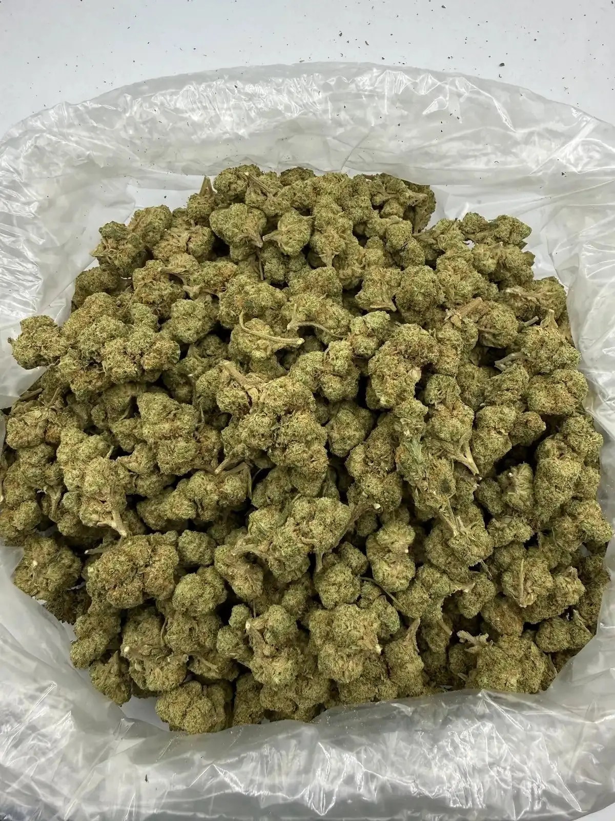 Golden Gas THCA Flower bulk exotic AAA Depz