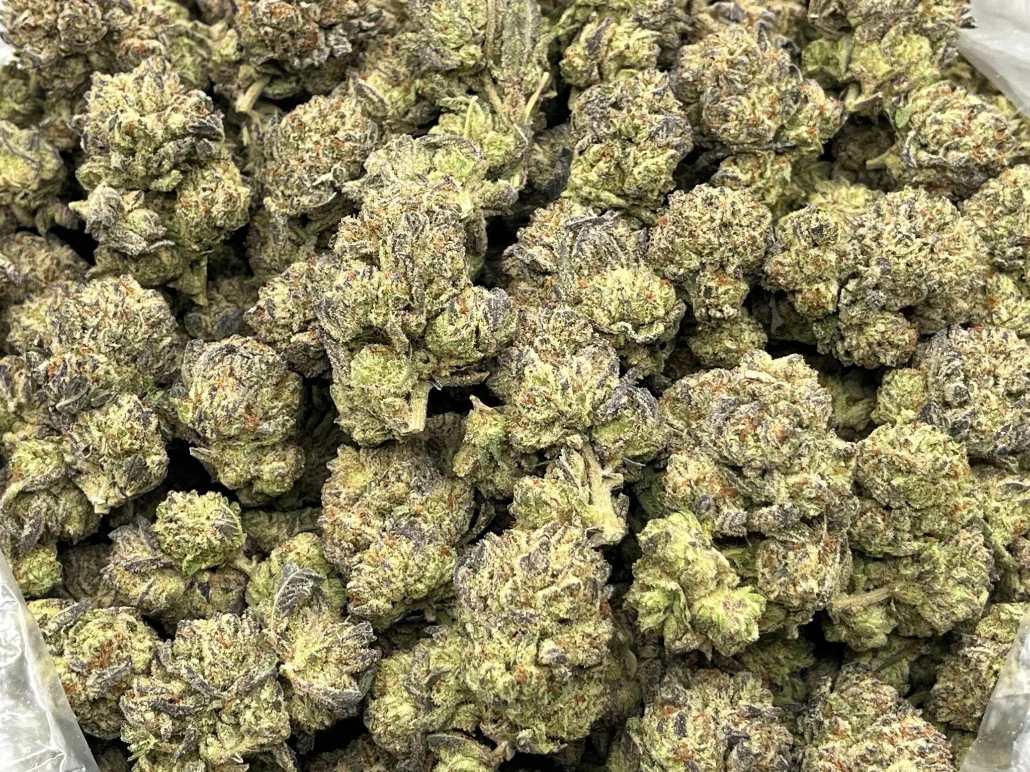 Blueberry Muffin THCA Flower dense frosted nug