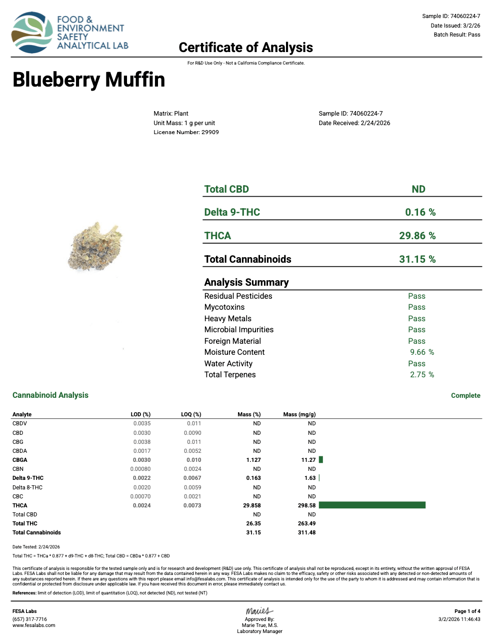 Blueberry Muffin THCA Flower certificate of analysis