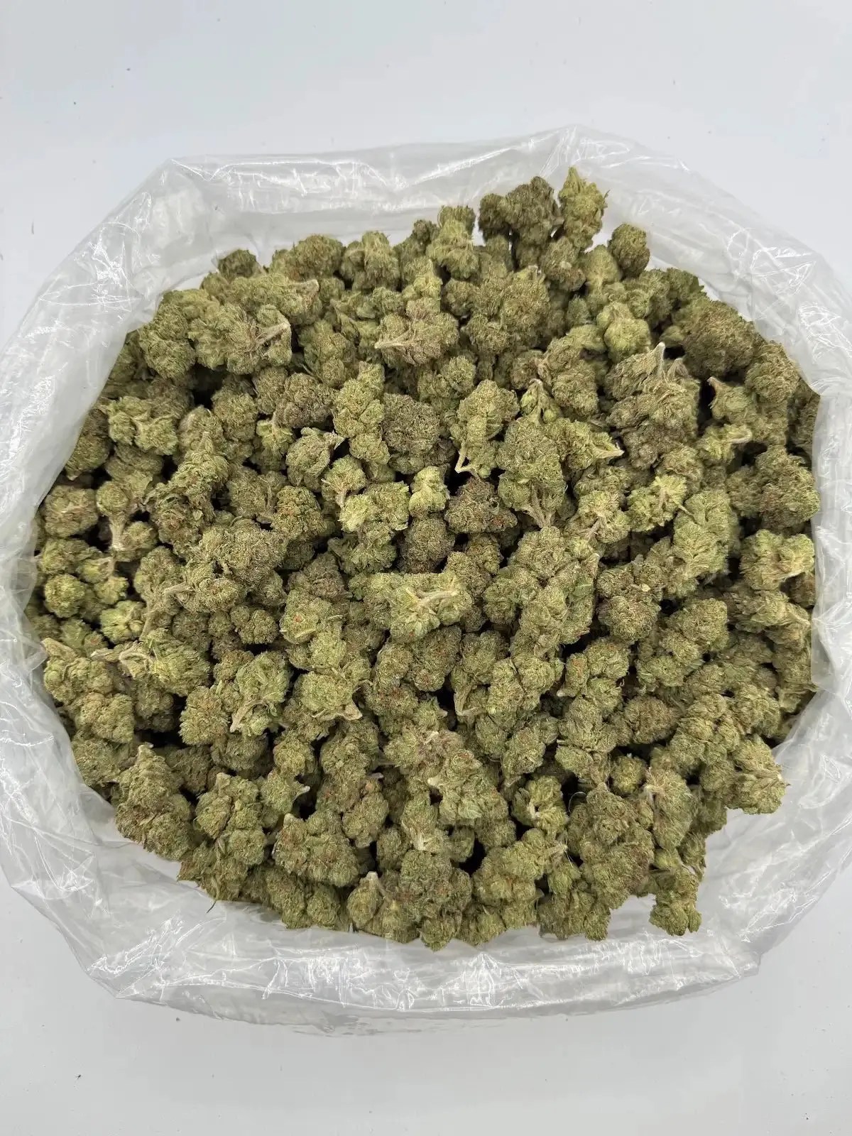 Candyland Depz THCA Flower bulk exotic AAA Depz