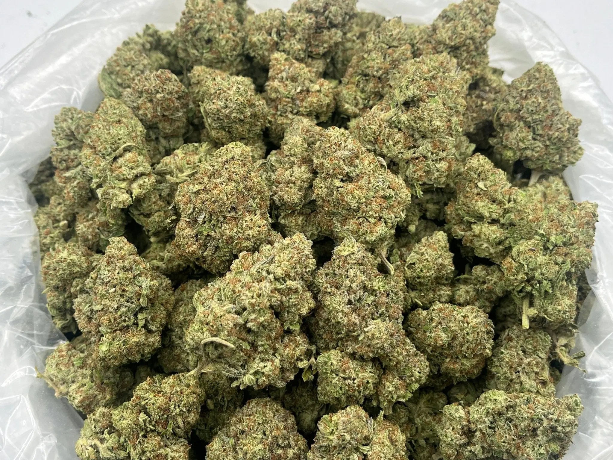 GMO Fa SHO Flower dense frosted nug