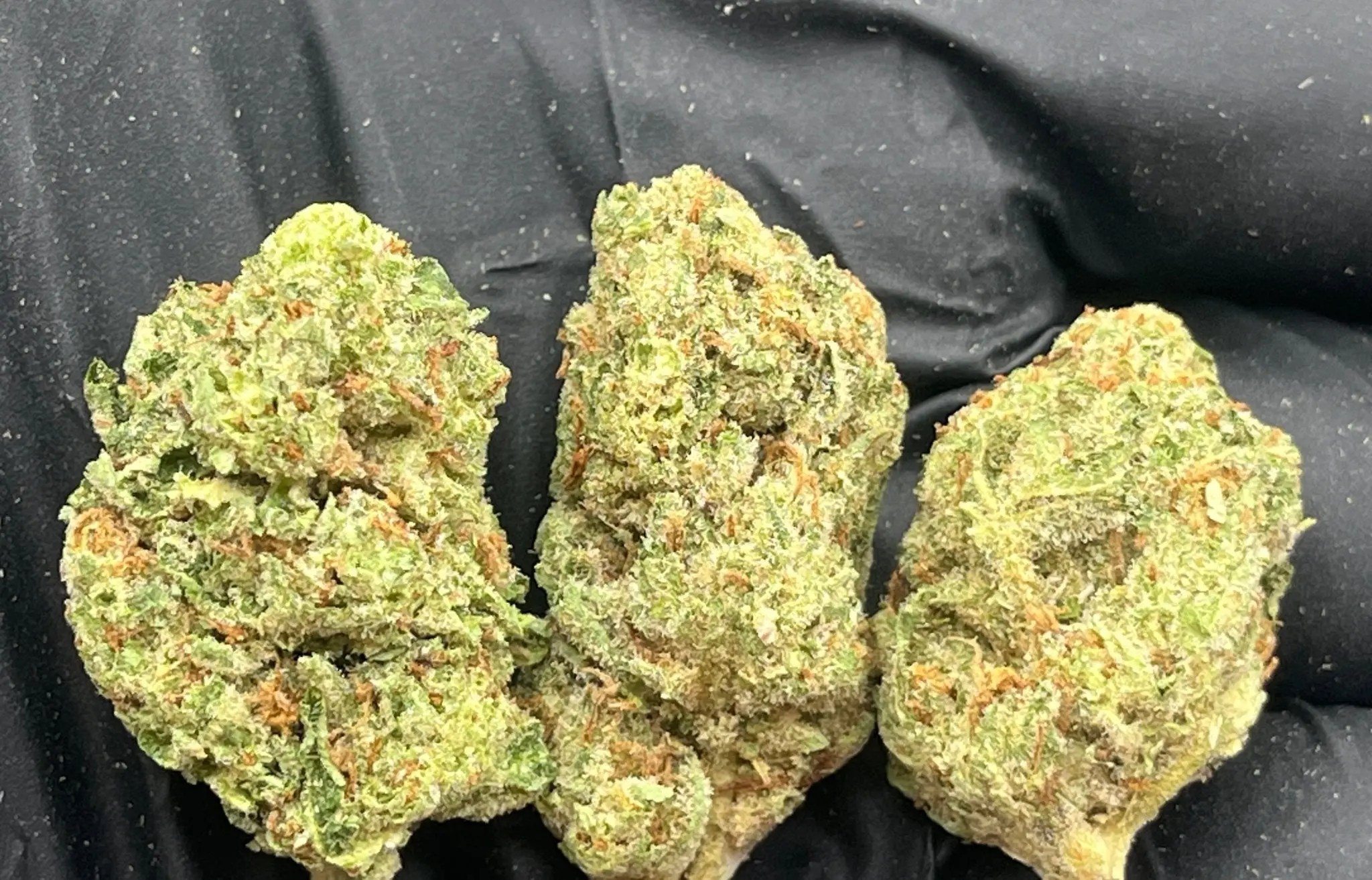 Grease Monkey Exotic AAA Depz Plus THCA Flower - 30.07%