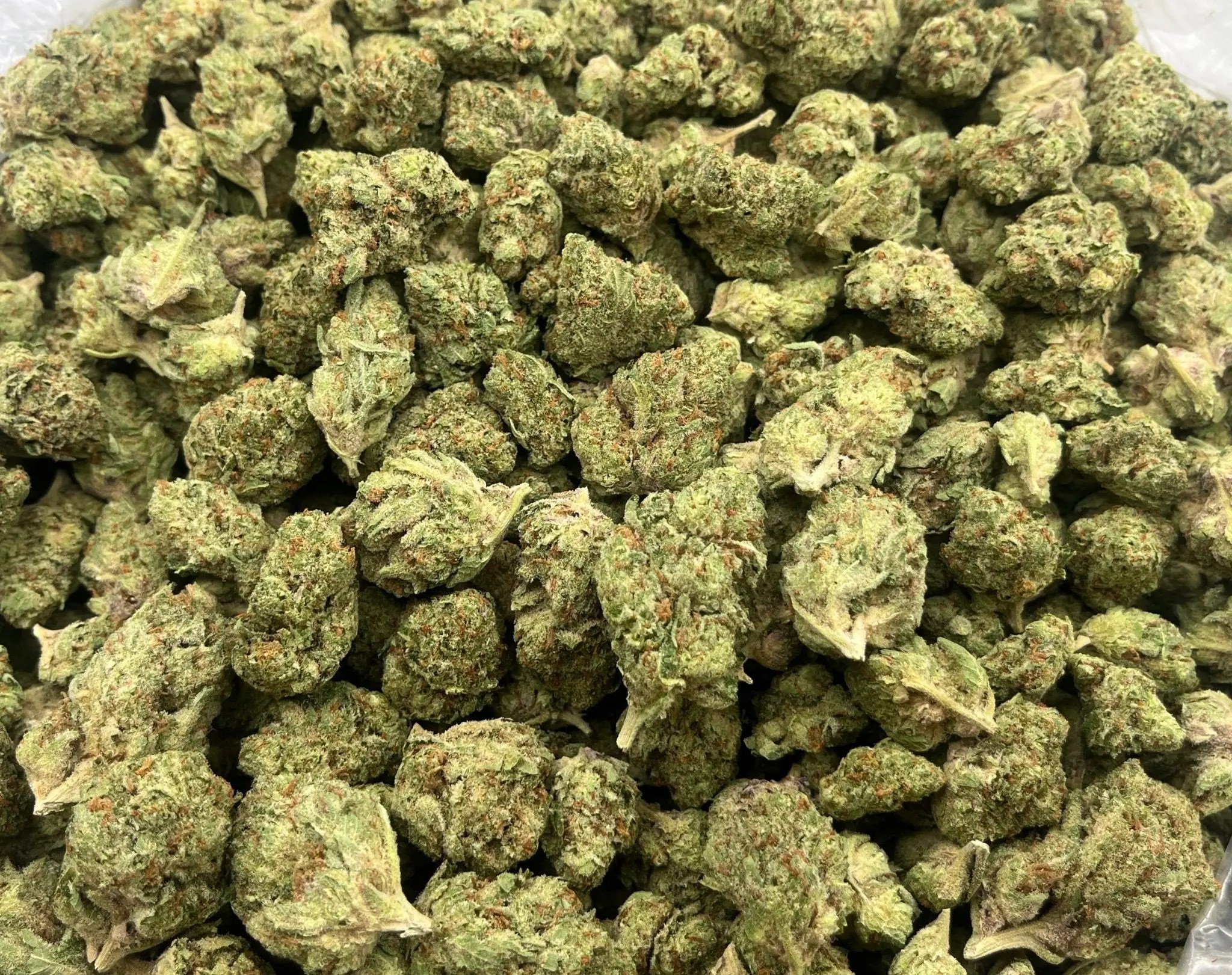 Grease Monkey THCA Flower dense frosted nug