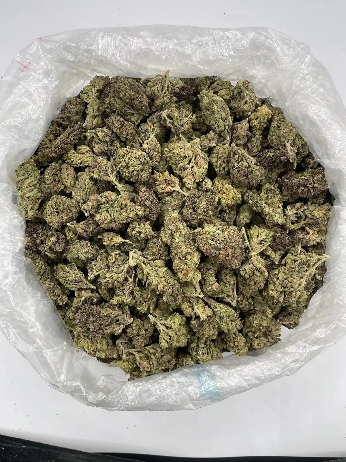 Zangria Depz THCA Flower bulk exotic AAA Depz
