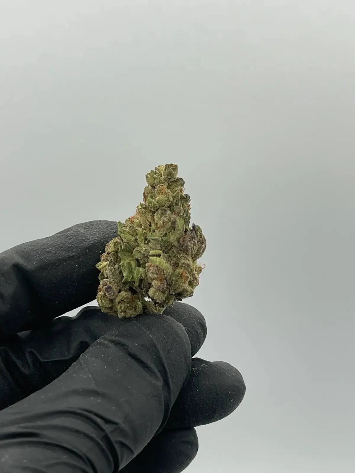 Zangria Depz THCA Flower dense frosted nug